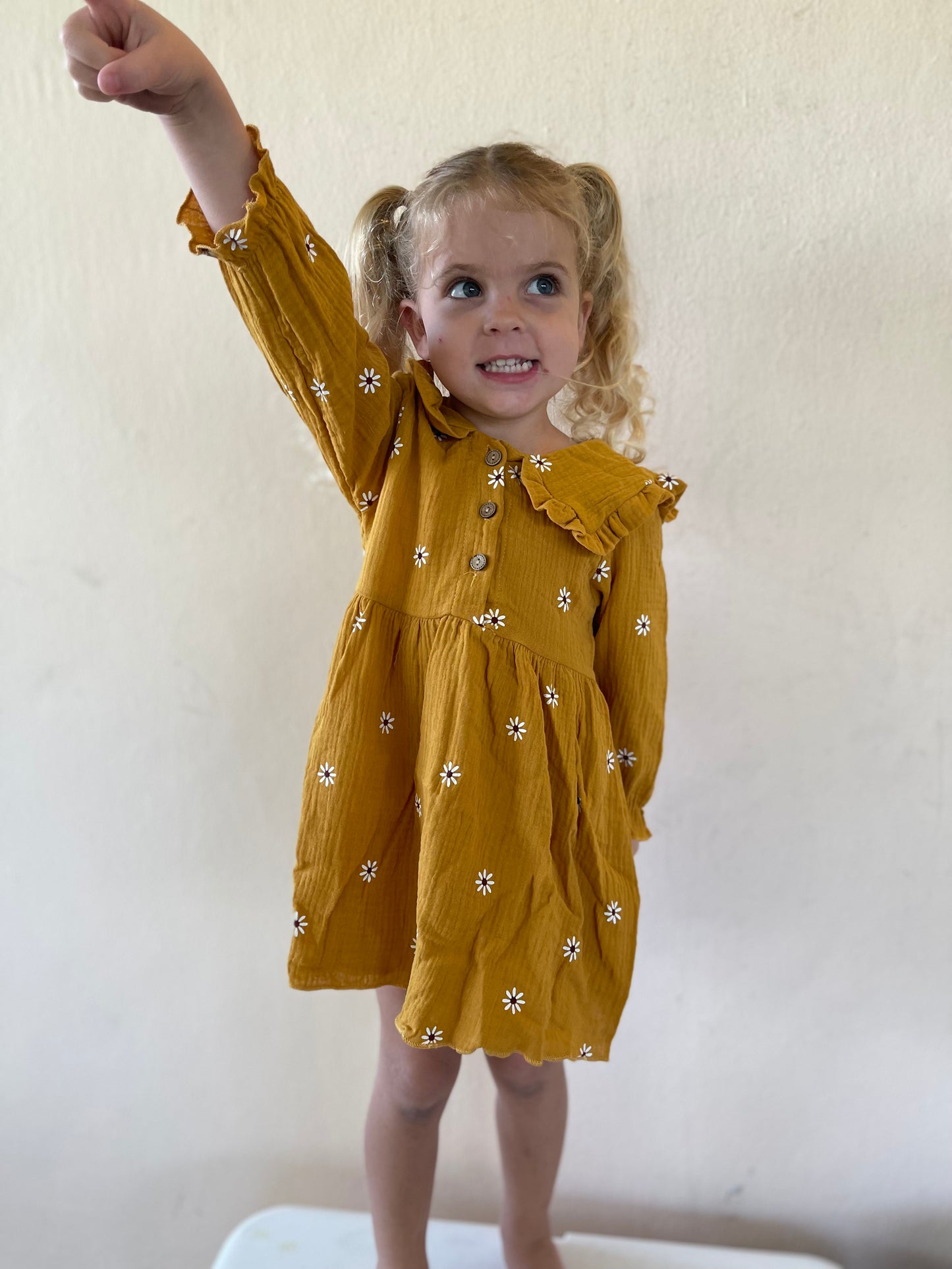Marigold Dress