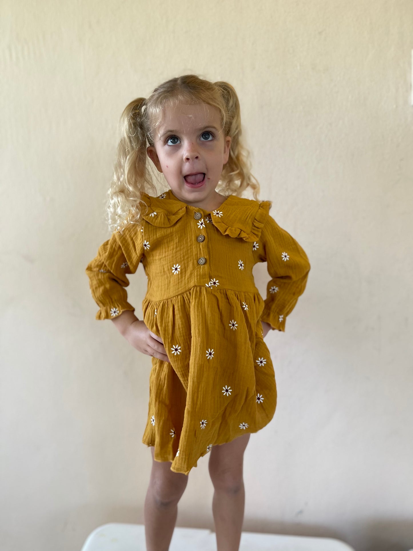 Marigold Dress