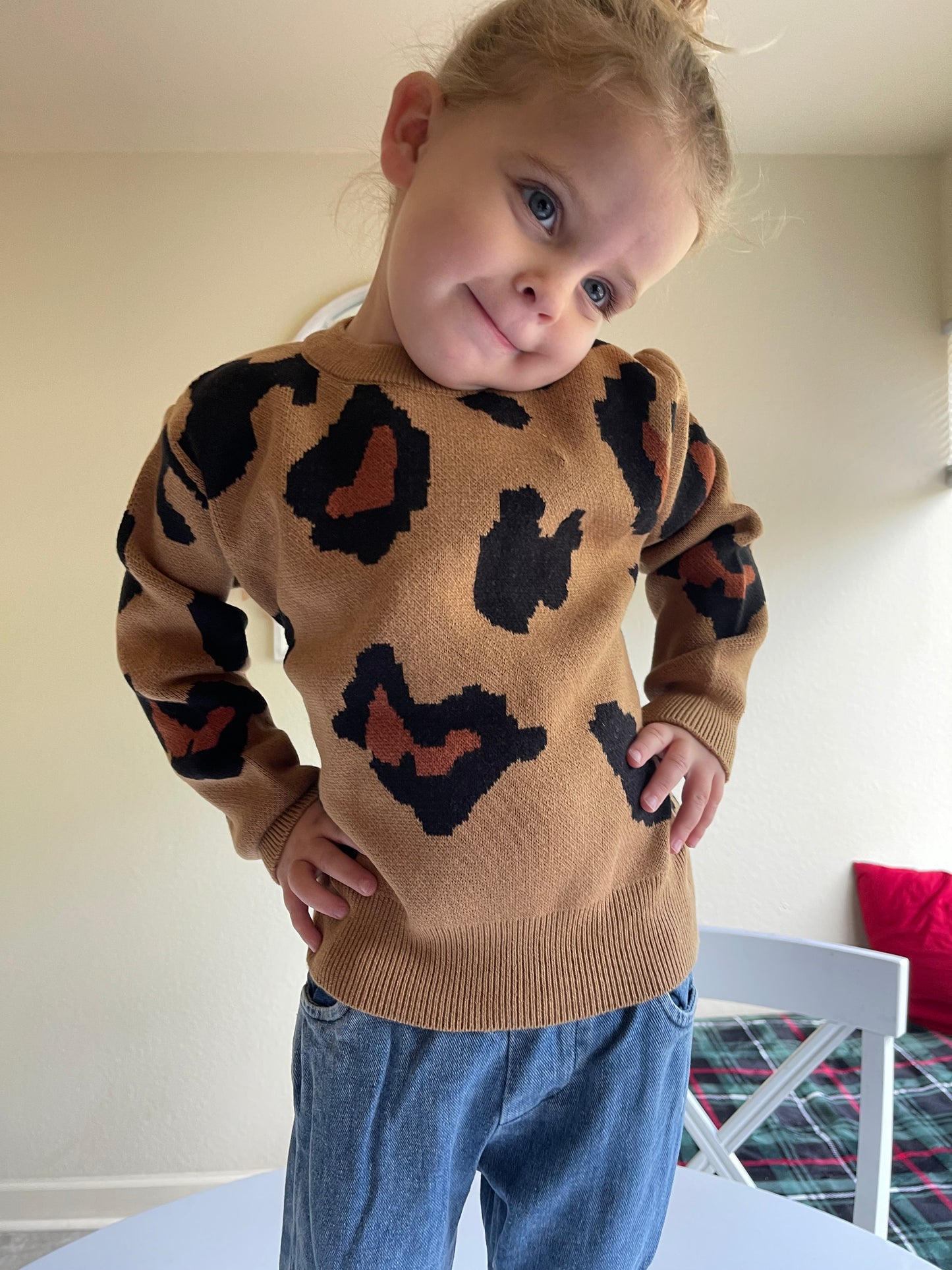 Wild Print Sweater