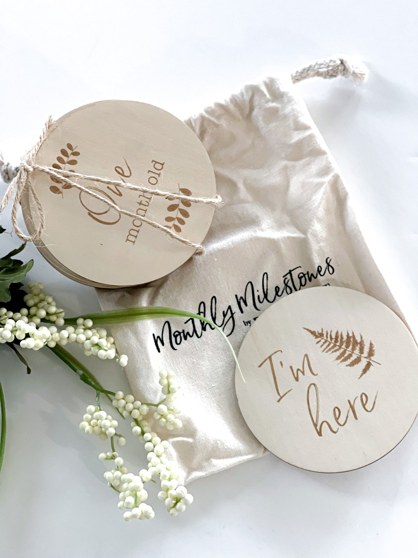 Milestone Disks - 12 Month Set + I’m Here!