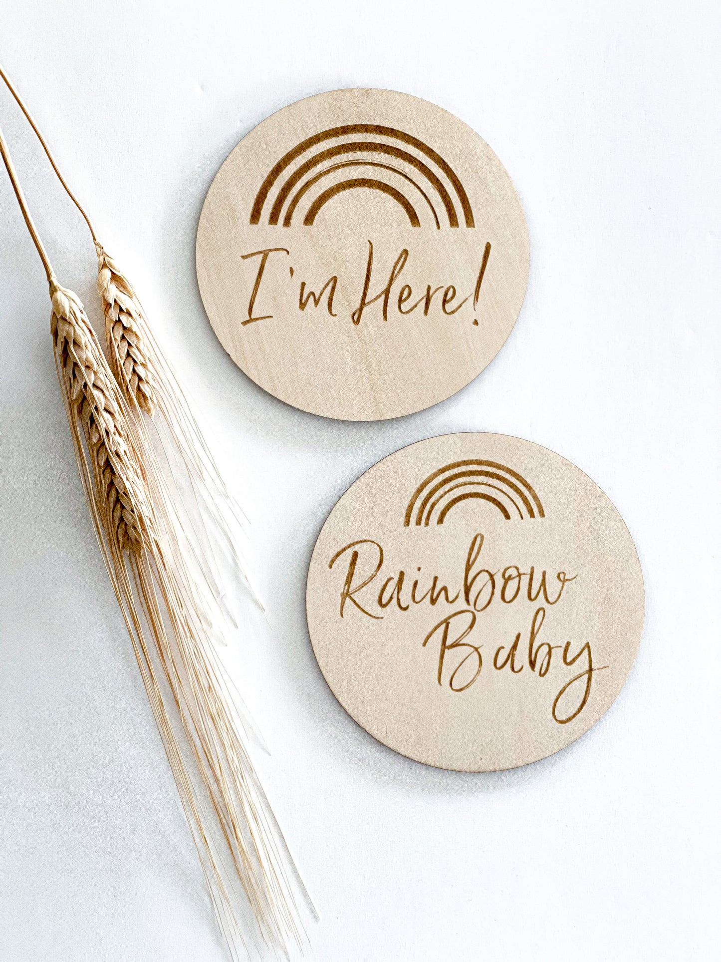 Milestone Disks - Rainbow Baby