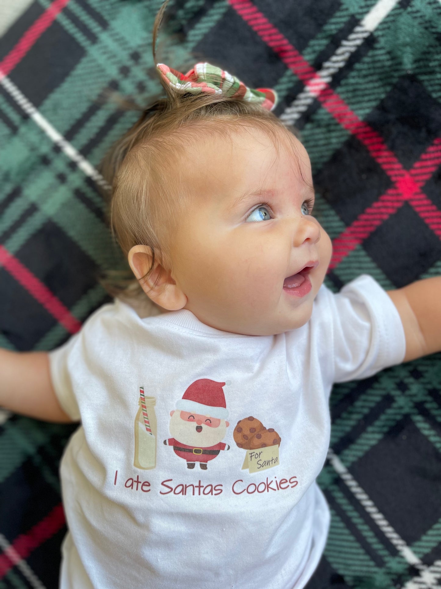 I Ate Santa’s Cookies Graphic