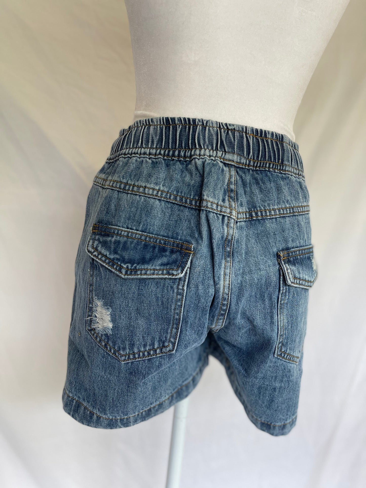Venice Picnic Shorts