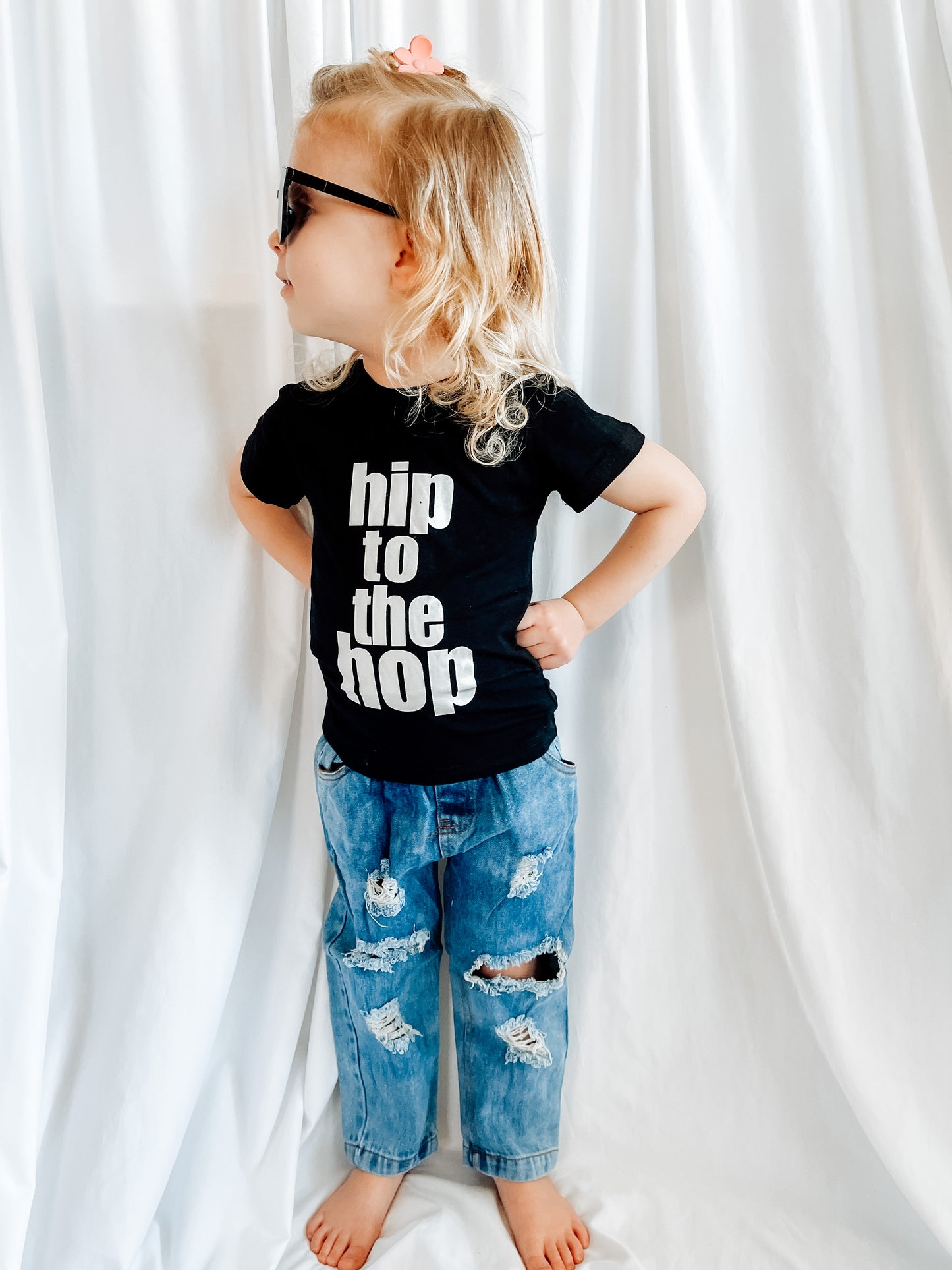 Hip To The Hop Set