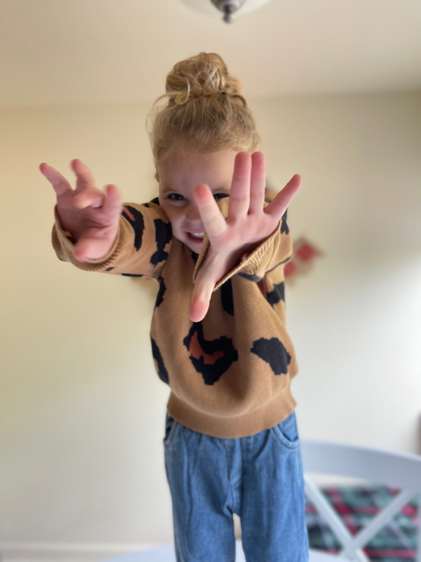 Wild Print Sweater