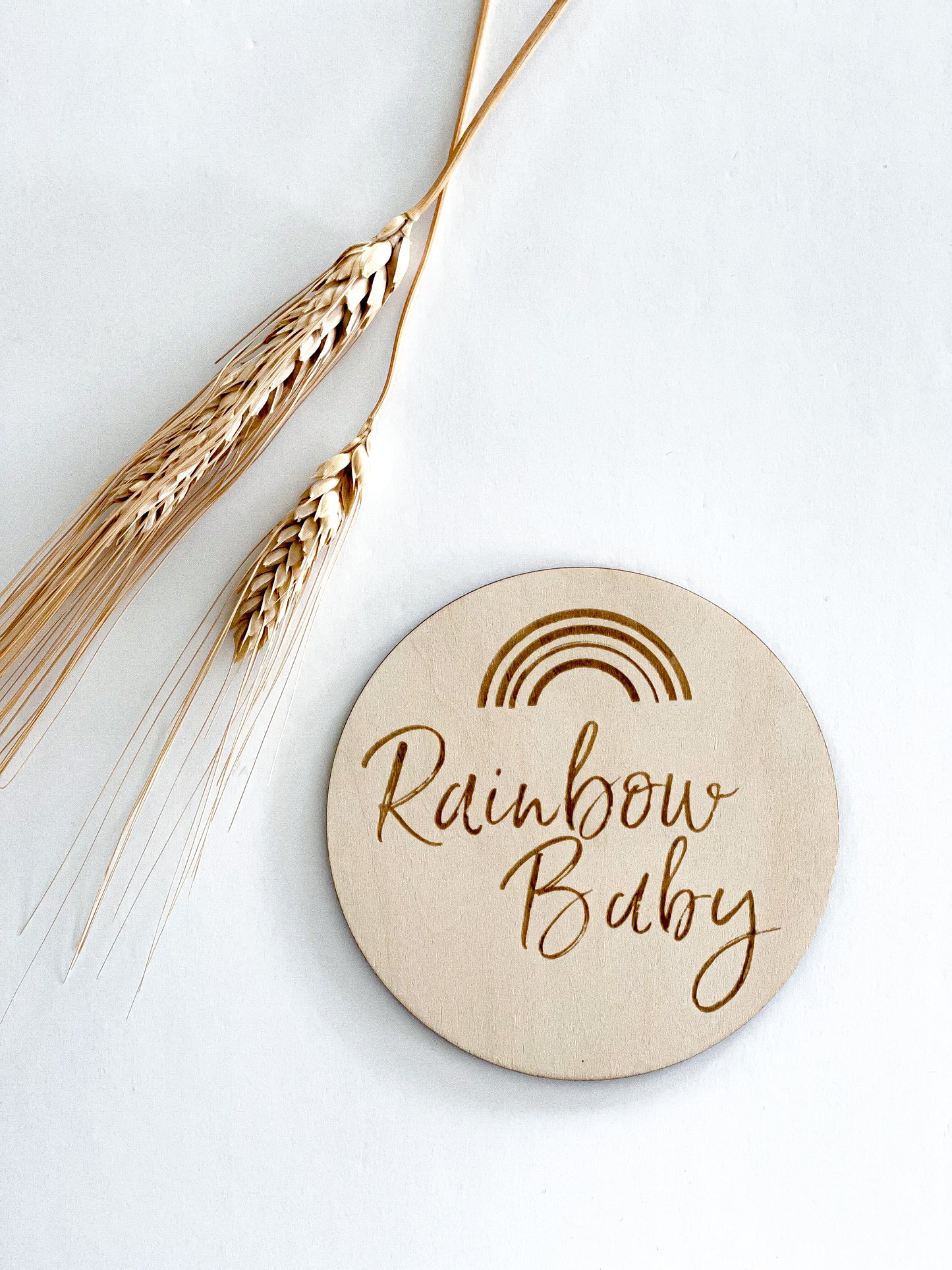 Milestone Disks - Rainbow Baby