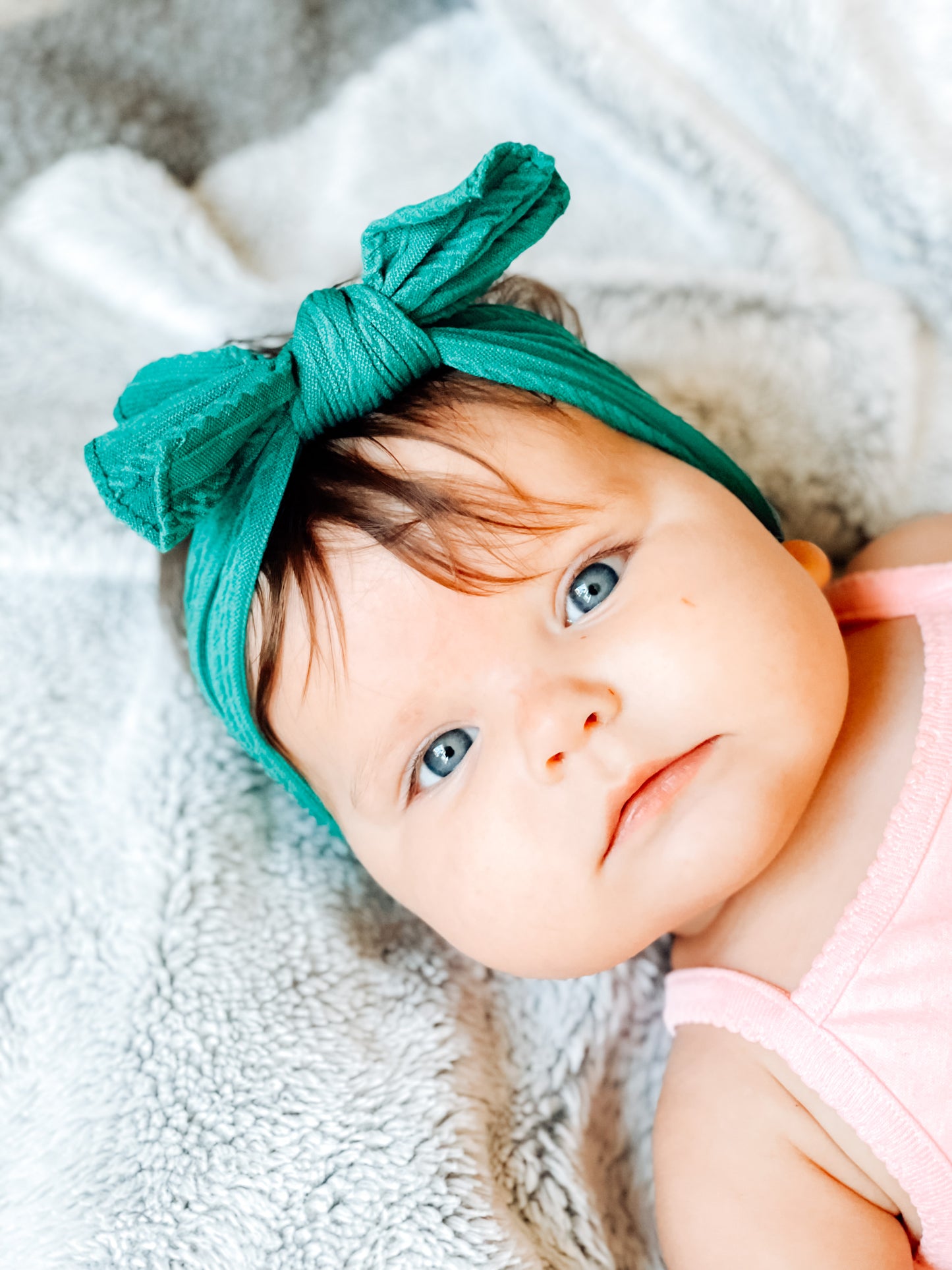 Fall Knit Bows - Royal Pack