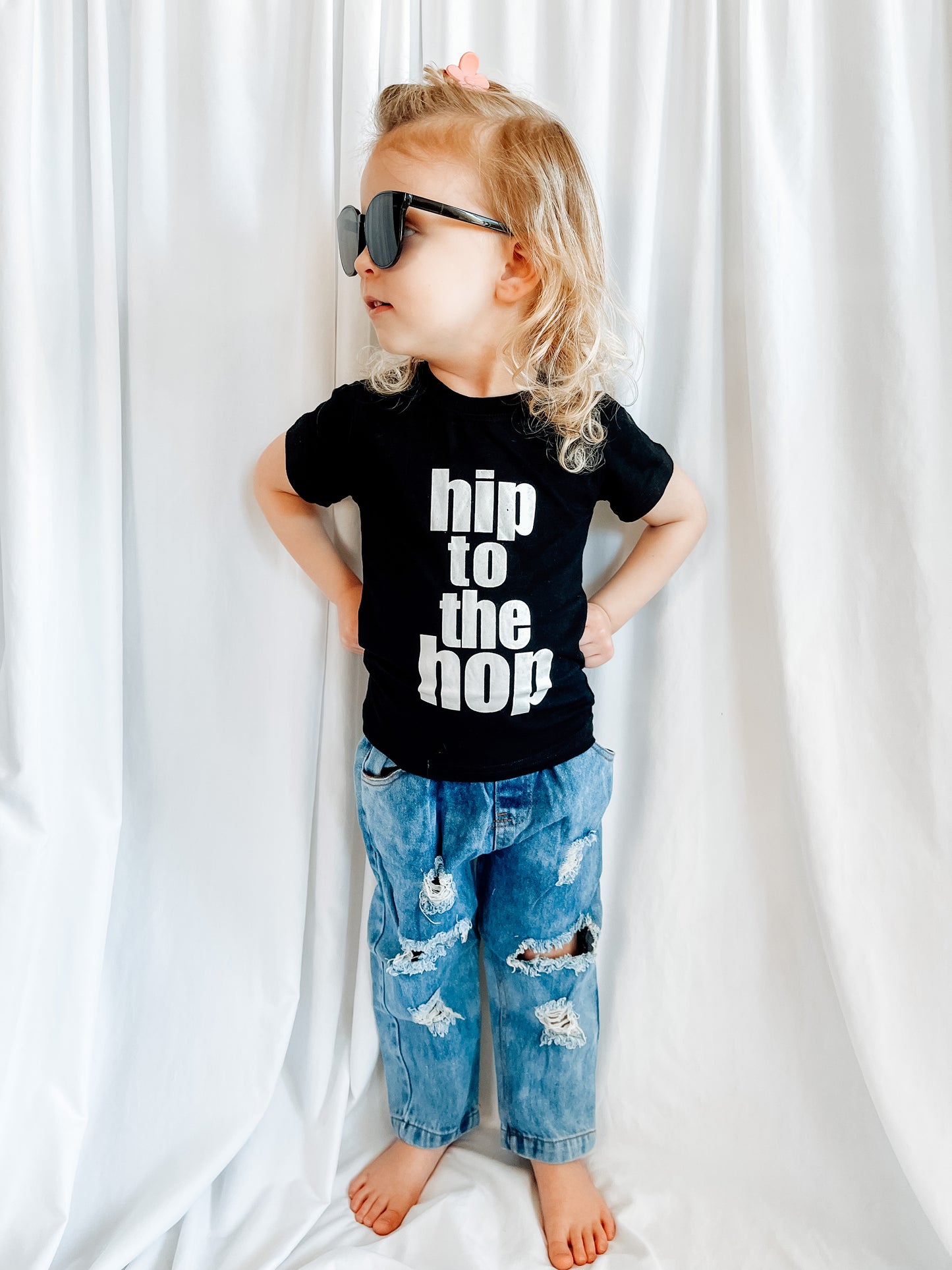 Hip To The Hop Set