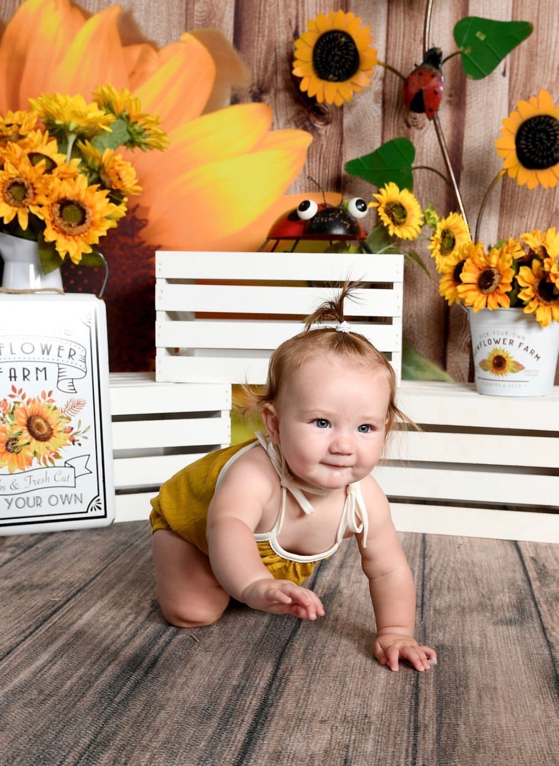 The Brittany - 2 Colors